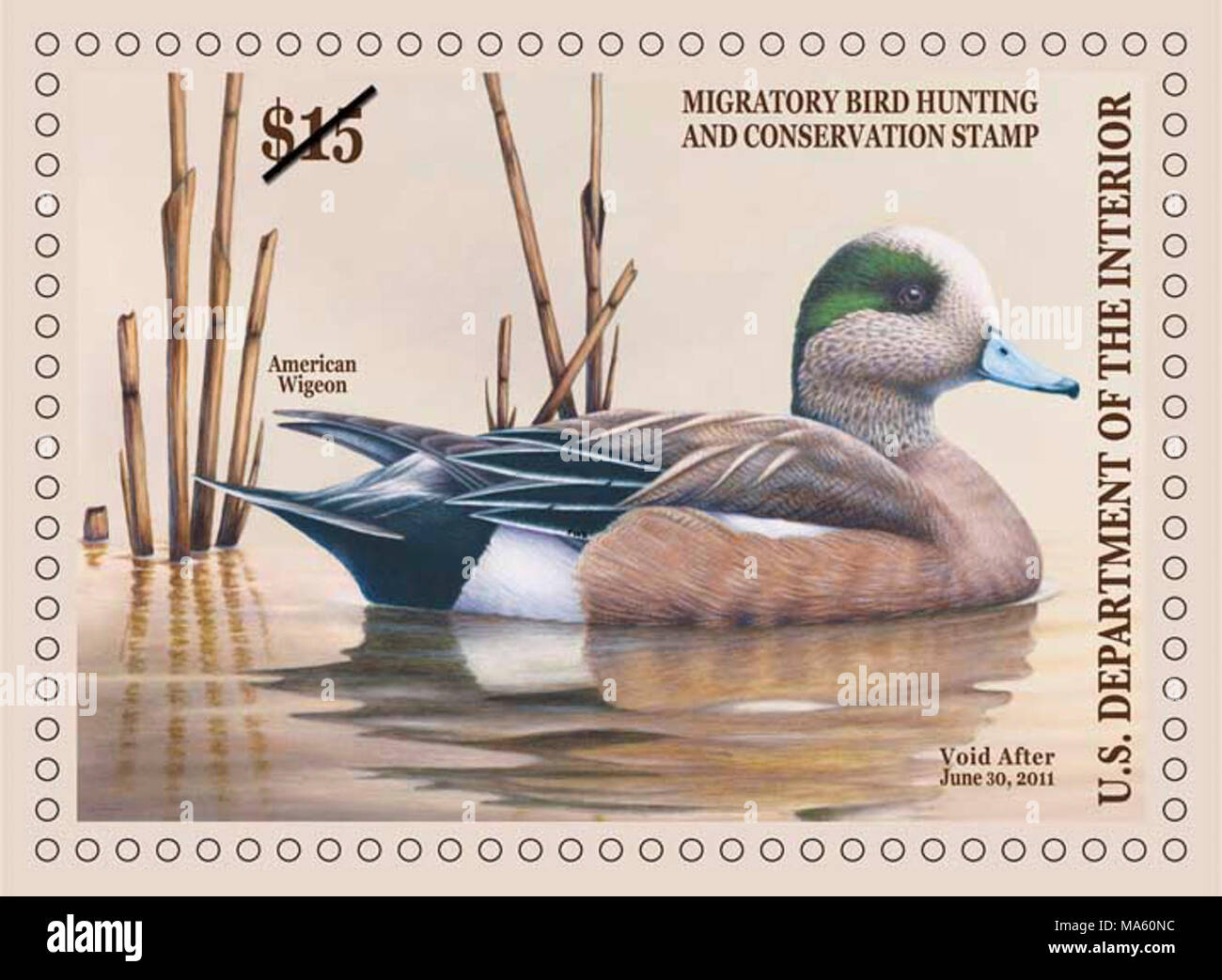 2010-11 Federal Duck Stamp. The 2010-2011 Federal Duck Stamp by Robert Bealle of Waldorf, Maryland. - - - - - - -  The Pacific Southwest Region and its conservation partners will host the 2010 Federal Duck Stamp Art Contest  October 15-16 at the David Brower Center in Berkeley, California. This is the first time in the prestigous contest's 61 year history that the event has been held in the West, and for only the second time west of the Mississippi River.   “Having this prestigious contest in the heart of the urban Bay Area provides a unique opportunity to introduce new, non-traditional audien Stock Photo