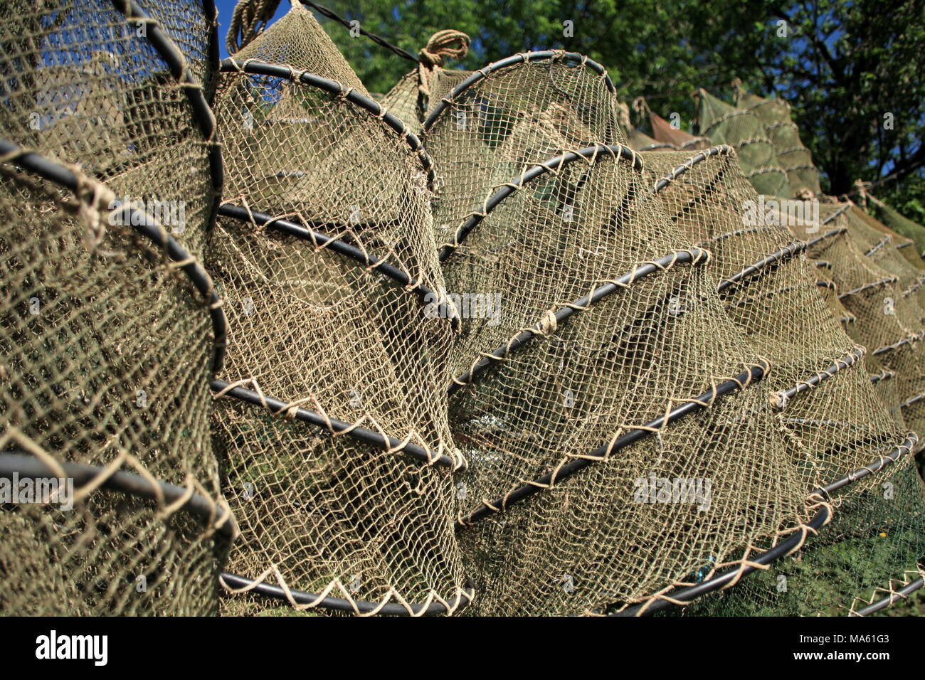 fishing nets to catch smelt Stock Photo - Alamy