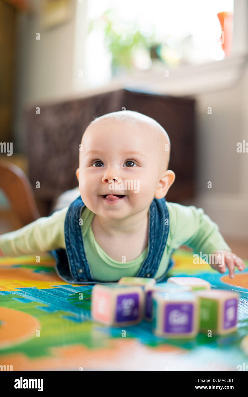 A six month old baby girl at play Stock Photo Alamy