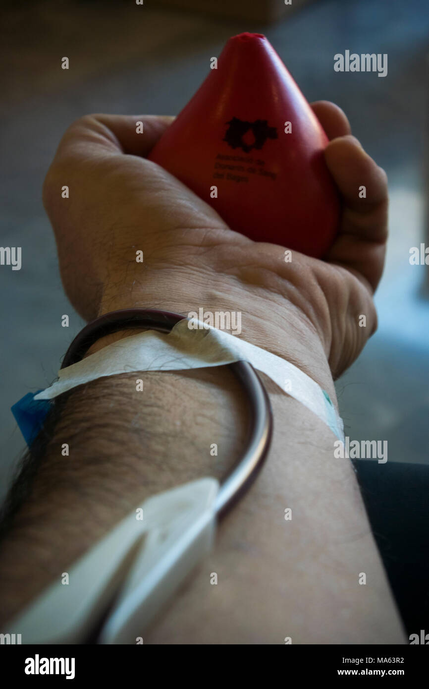 Blood donation in a hospital. The arm with a probe. Stock Photo