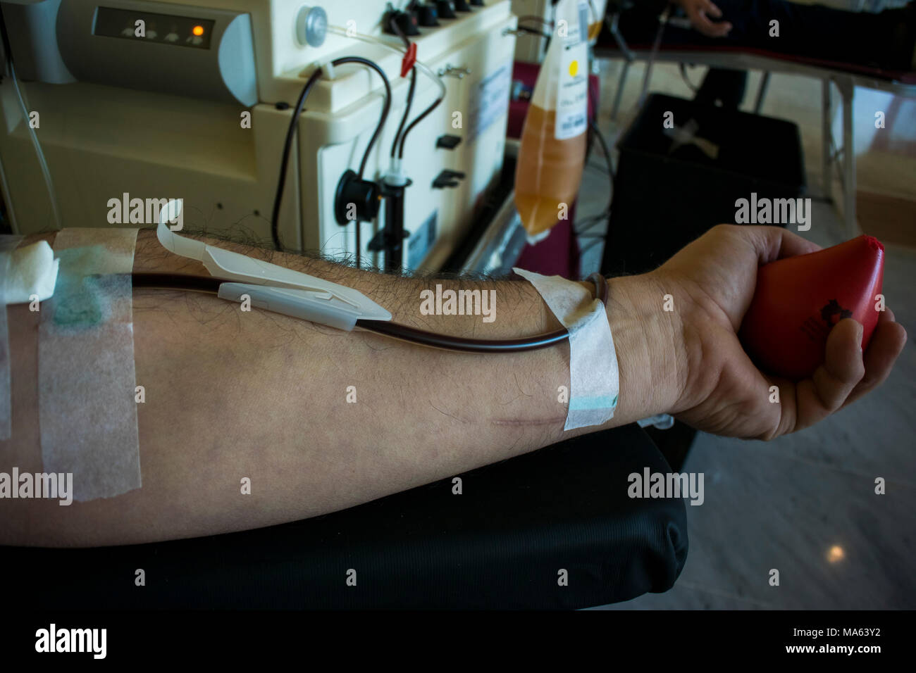 Blood donation in a hospital. The arm with a probe. Stock Photo
