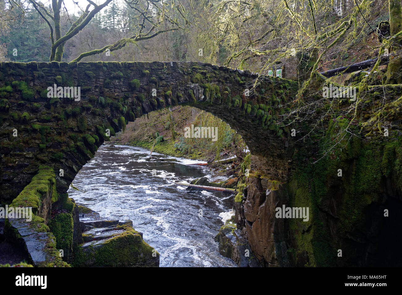 A stone bridge at the The Hermitage woodland walk, near Dunkeld, Perthshire Stock Photo