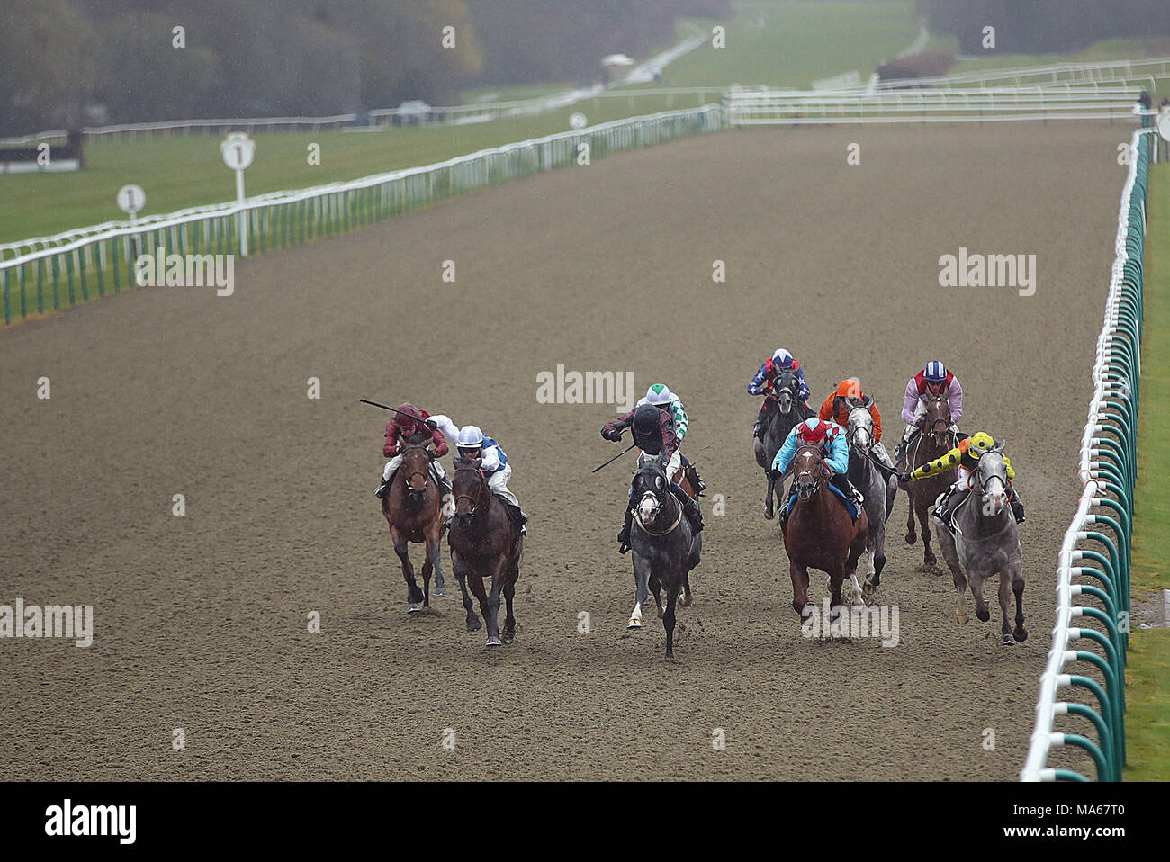 Aw championship finals day lingfield racecourse hi-res stock ...