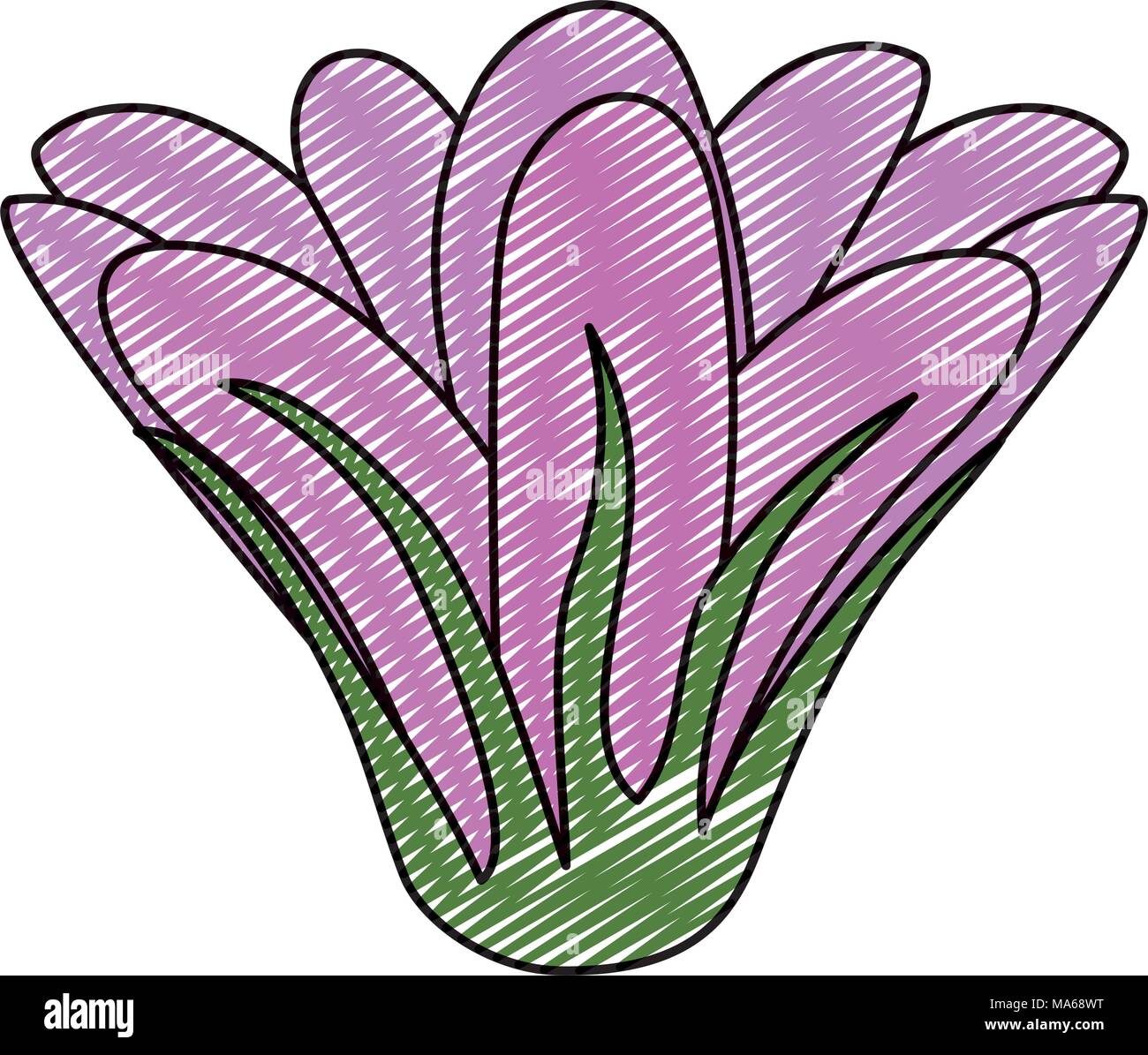 doodle cute flowers with nature petals design Stock Vector Image & Art ...