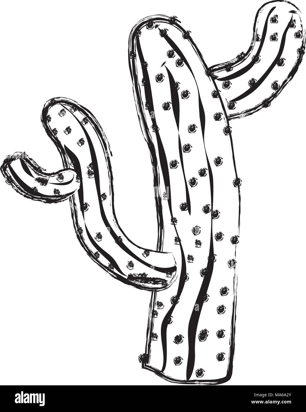 grunge cactus plant nature design in the desert Stock Vector Image ...