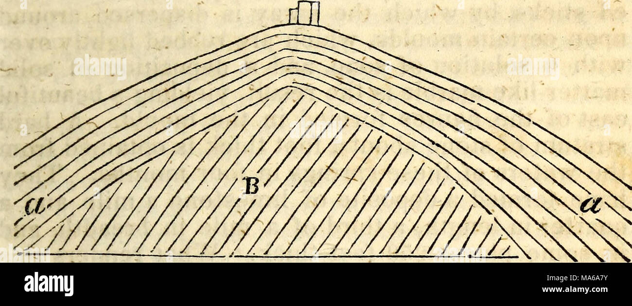 . The elements of geology, for popular use : containing a description ...