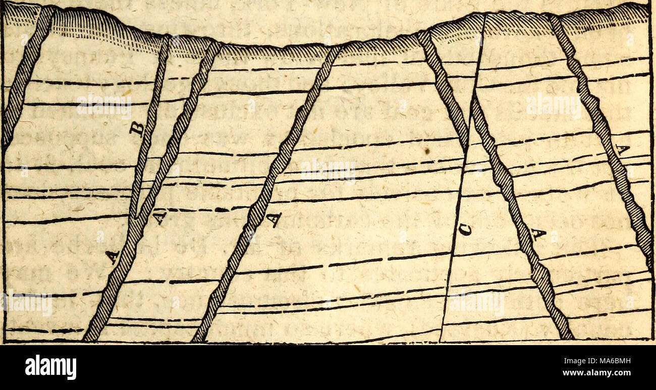 . The elements of geology, for popular use : containing a description ...
