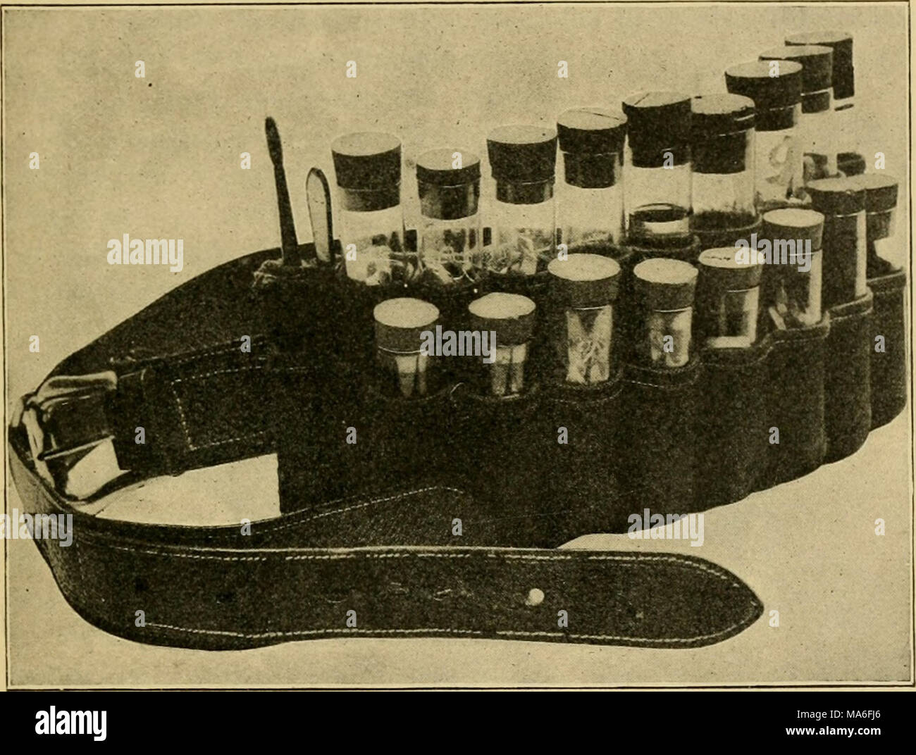 Elementary Entomology Fig 466 A Collecting Belt After Banks Serviceable The Objection To This Affair However Is The Unavoid Able Width Of The Elementary Entomology Fig 466 A Collecting Belt After Banks Serviceable The Objection To This Affair However Is The Unavoid Able Width Of The