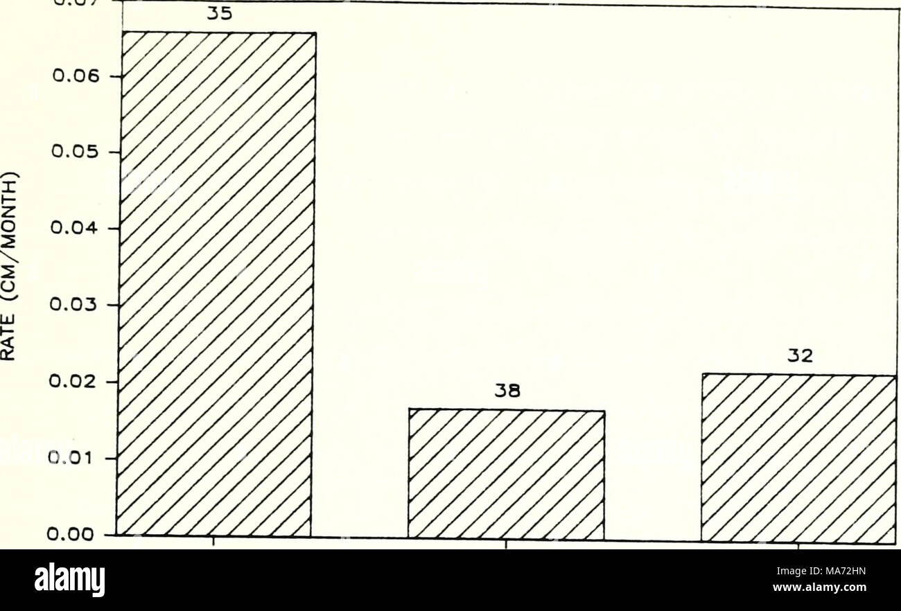 . Effects of fleeting on mussels. : Interim report . DOWNSTRM GROUNDED PILINGS Note: Numbers at the top of bars indicate the total number of live, undamaged, marked Amblema plicata recaptured at the plot in 1984. DOWNSTRM = unfleeted plot, downstream control GROUNDED = fleeted plot, barges against shore PILINGS = fleeted plot, barges tied to pilings Figure 10. Growth rates (shell length) of Amblema plicata between June and October in fleeted and unfleeted plots in the Illinois River at Naples. 39 Stock Photo