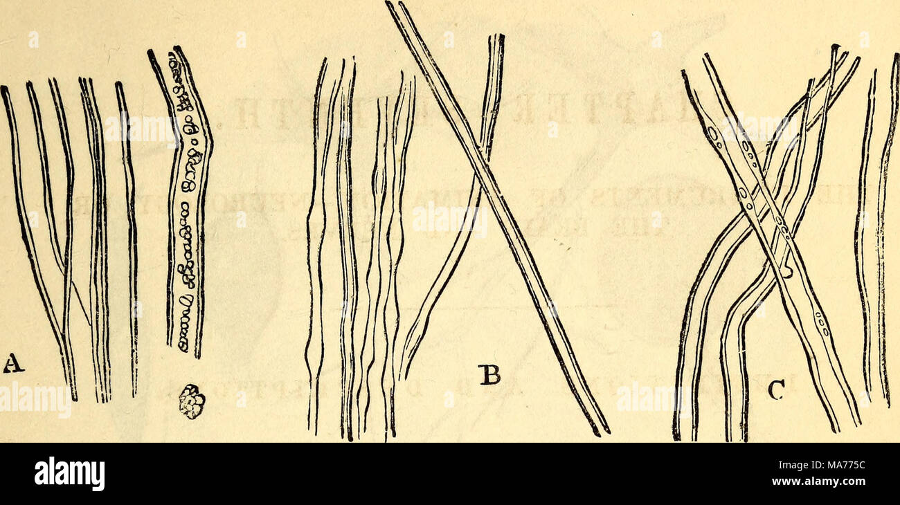 Larger inner tube hi-res stock photography and images - Alamy