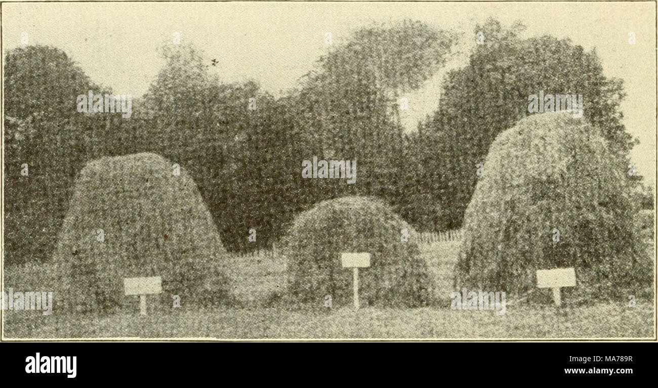 Per acre production hires stock photography and images Alamy