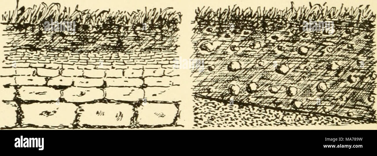 Elementary Agriculture With Practical Arithmetic Drawing Showing How Rock Gradually Breaks Up And De Cays From The Top Downward Drawing Showing Glacial Drift Deposited On Top Of The Solid Rock