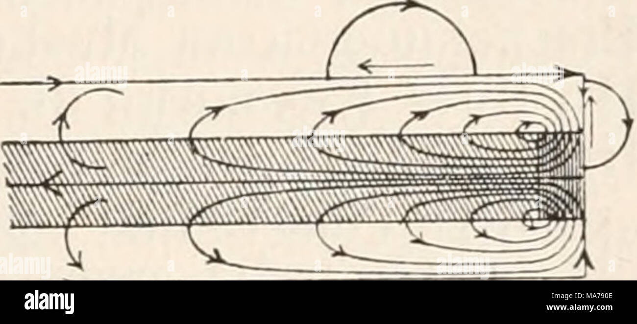 . Elektrophysiologie . Die elektromotorischen Wirkungen der Nei-ven. 707 Stromstärke und Stromesdauer an der physiologischen Kathode, d. h. an jedem Punkte, wo der Strom aus der erregbaren Substanz austritt, während der Schliessungszeit ein Zustand erhöhter Anspruchsfähigkeit besteht, während das Umgekehrte an der physiologischen Anode der Fall ist, so ergiebt sich unmittelbar auch ein Verständniss für die Thatsache der intra- und extrapolar sich ausbreitenden polar-antago- nistischen Erregbarkeitsänderungen eines polarisirten markhaltigen Nerven. Es erklärt sich ferner leicht die auf den erst Stock Photo