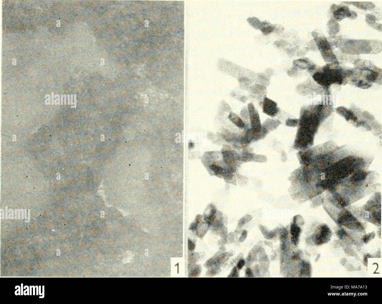 Calcinated lime hi-res stock photography and images - Alamy