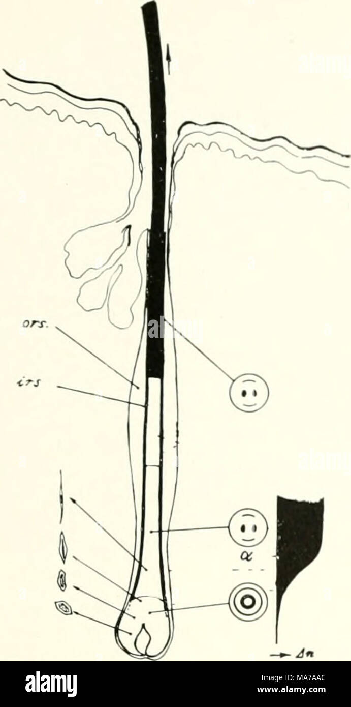 Diffraction patterns hi-res stock photography and images - Alamy