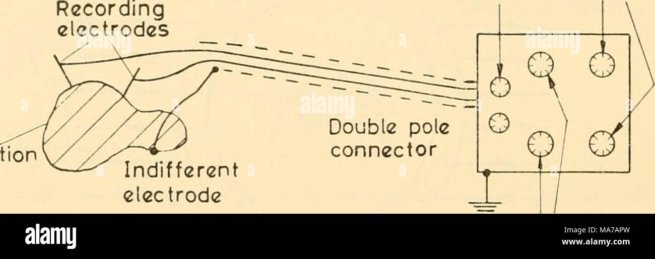 . Electronic apparatus for biological research . (b) Indifferent