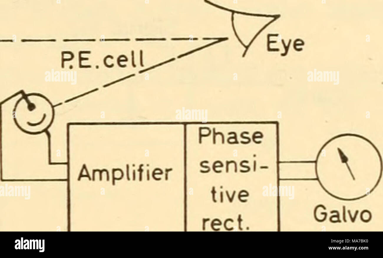 Phase Sensitive Rectification Phase synchronization hi-res stock photography and images - Alamy