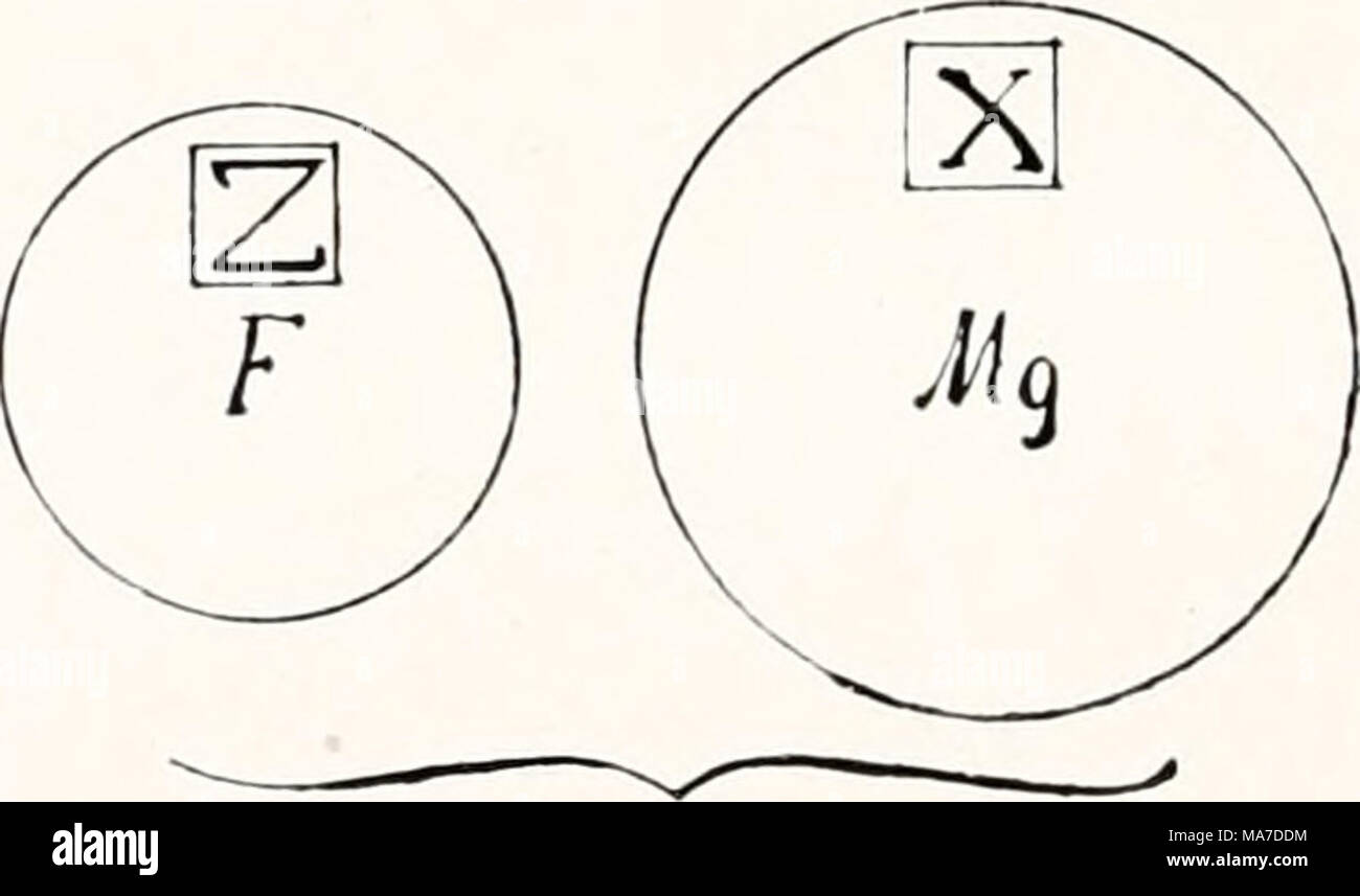 . Einführung in die Vererbungswissenschaft; in zweiundzwanzig