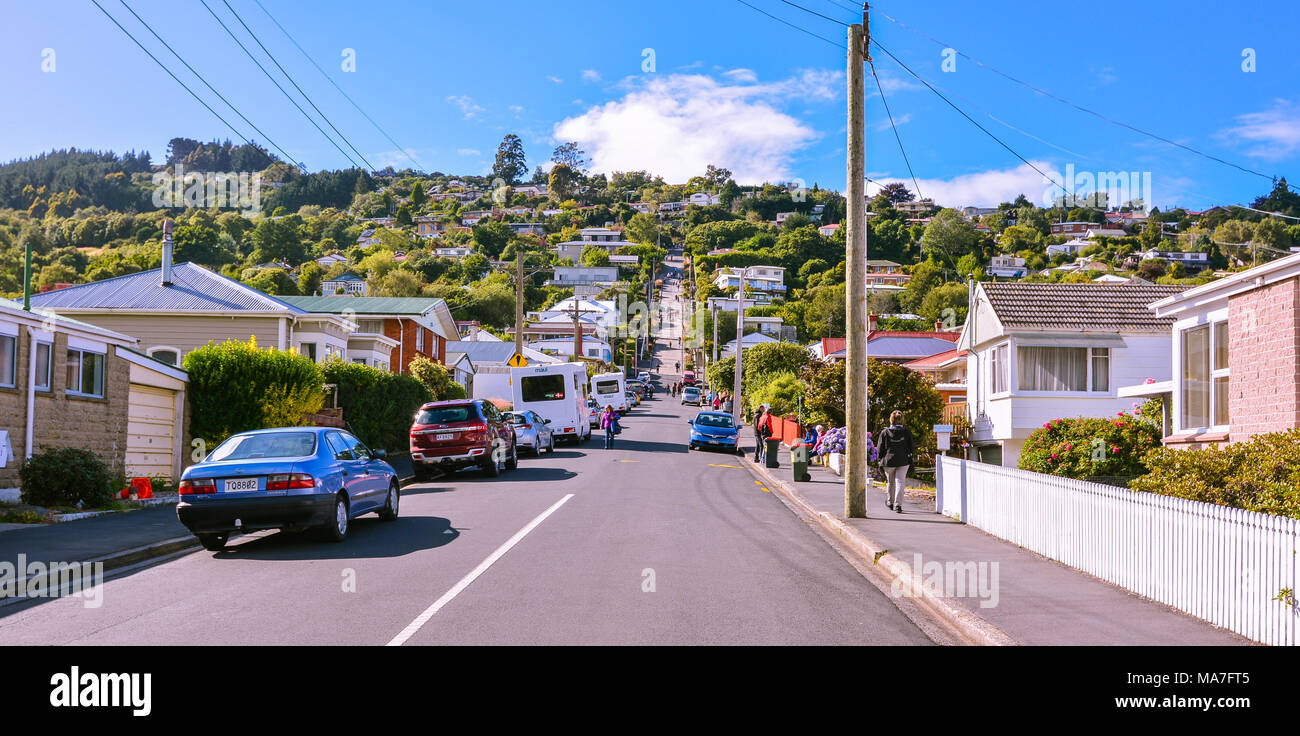 Feb. 8, 2017 - Looking up Baldwin Street, the steepest street in the world - Dunedin, New Zealand. Stock Photo