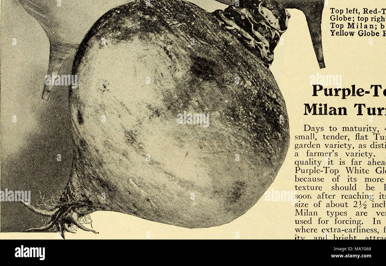 Types delivered hires stock photography and images Alamy