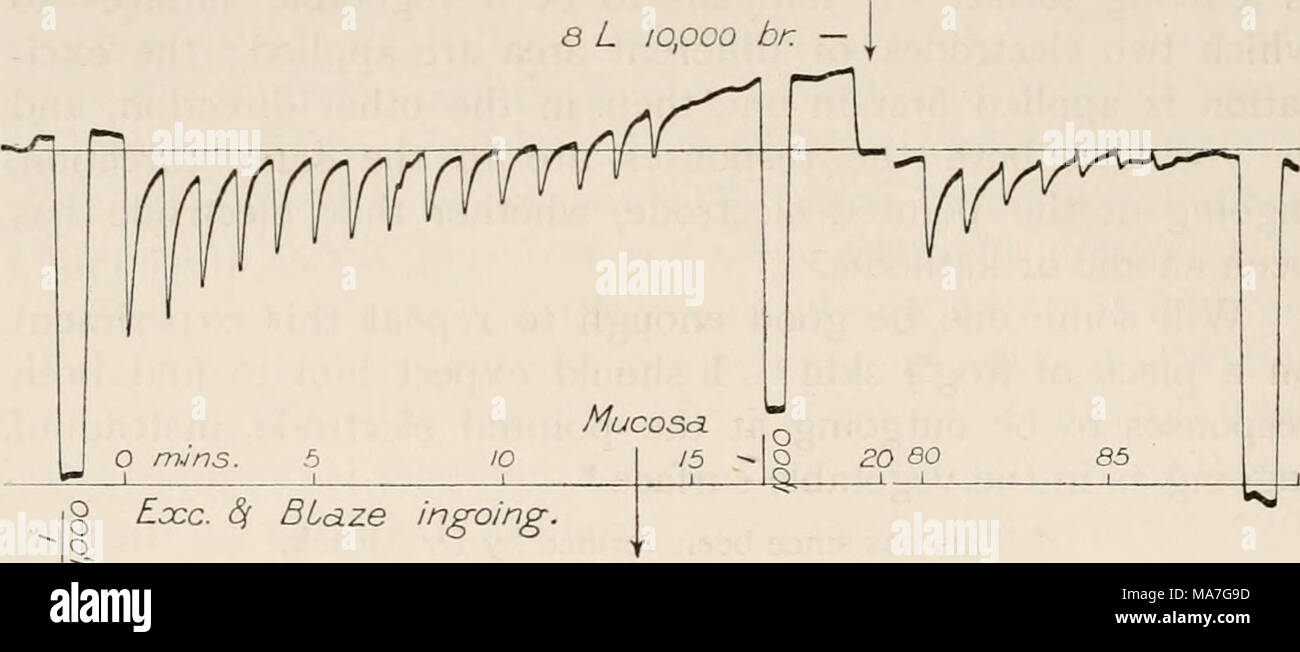 . Eight lectures on the signs of life from their electrical aspect . Serosa. FlG. 47.—Frog. Stomach. Two series of ingoing responses to ingoing single break induction shocks at one minute intervals. Interval of one hour between the first and second series. | 69. A warning.—Let me here put you on your guard against a fallacy to which I was myself hardly alive in the first comparisons of anode versus kathode, and surface against surface. It is important that the area of contact between surface and electrode shall, as far as possible, be equal on both sides and not accidentally extended by excess Stock Photo