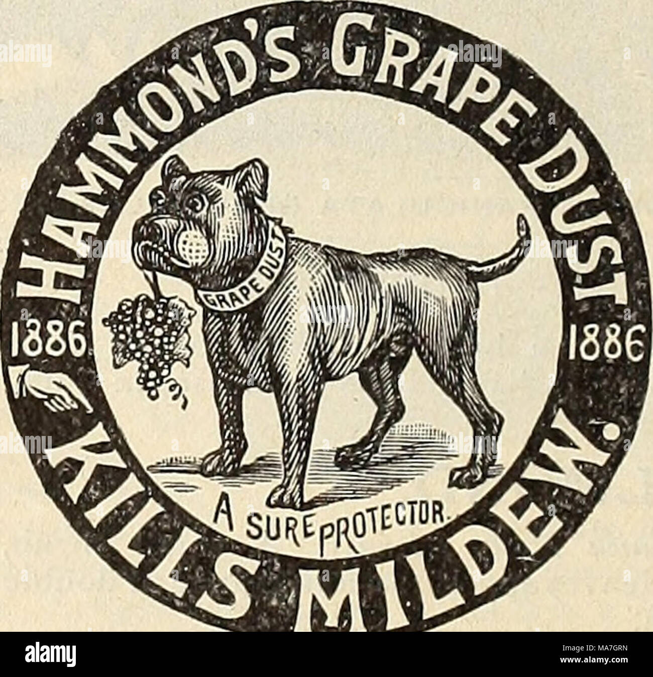 Emily Flowers Of Sulphur For Dogs 3 Best Dog Shampoos For