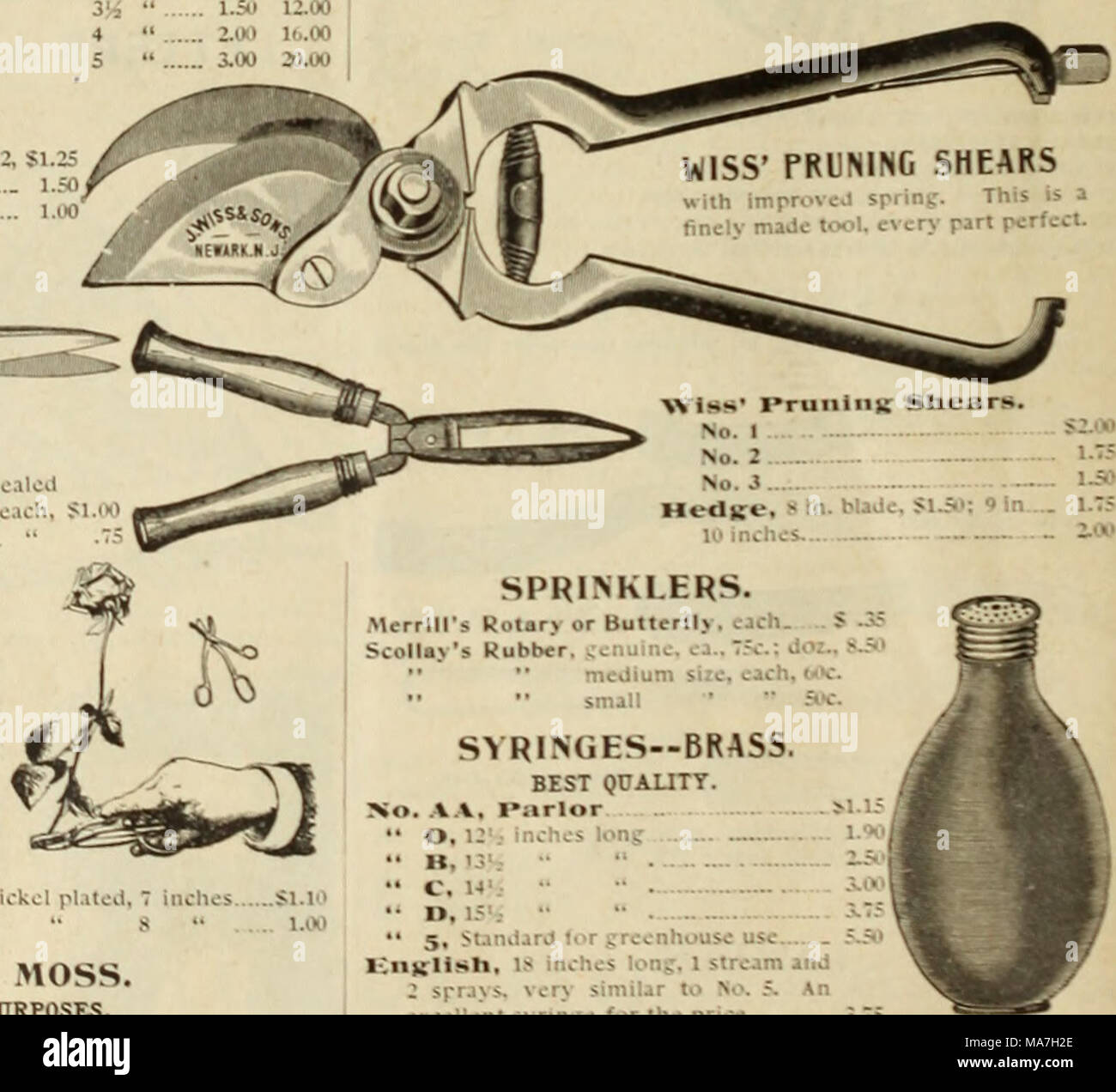 . E.H. Hunt's catalogue : florists' seeds, supplies, bulbs . wire, toothpicks, etc Vine Scissors, Nickel plated The Barnes* Hose and Carnation Cutter, rhls is something entirely net* and is the most complete shear in the market. It is so arranged as to hold the Qowef after cutting, an extra lever being attached for the purpose, which can be used as required. This shear Is In- dispensable to Hose and Car- nation growers. Enameled. Si.25; Nickel, Si.50 FLOWER GATHERER, Nickel plated, 7 laches .. $1.10 •« « 8 &quot; 1.00 SPHAGNUM MOSS. FOR FLORISTS' PURPOSES. We have some of the best Moss ever pu Stock Photo