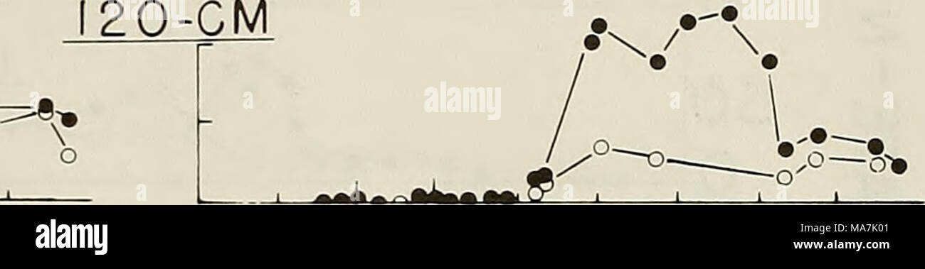 Typical Plan And Elevation Of An Akdoan Lysi In House