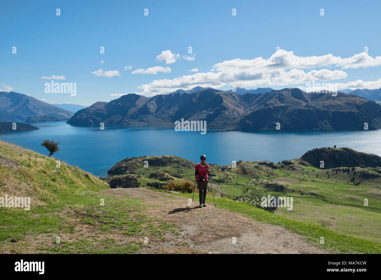 Trekking To Roy S Peak Wanaka New Zealand Stock Photo 178419161