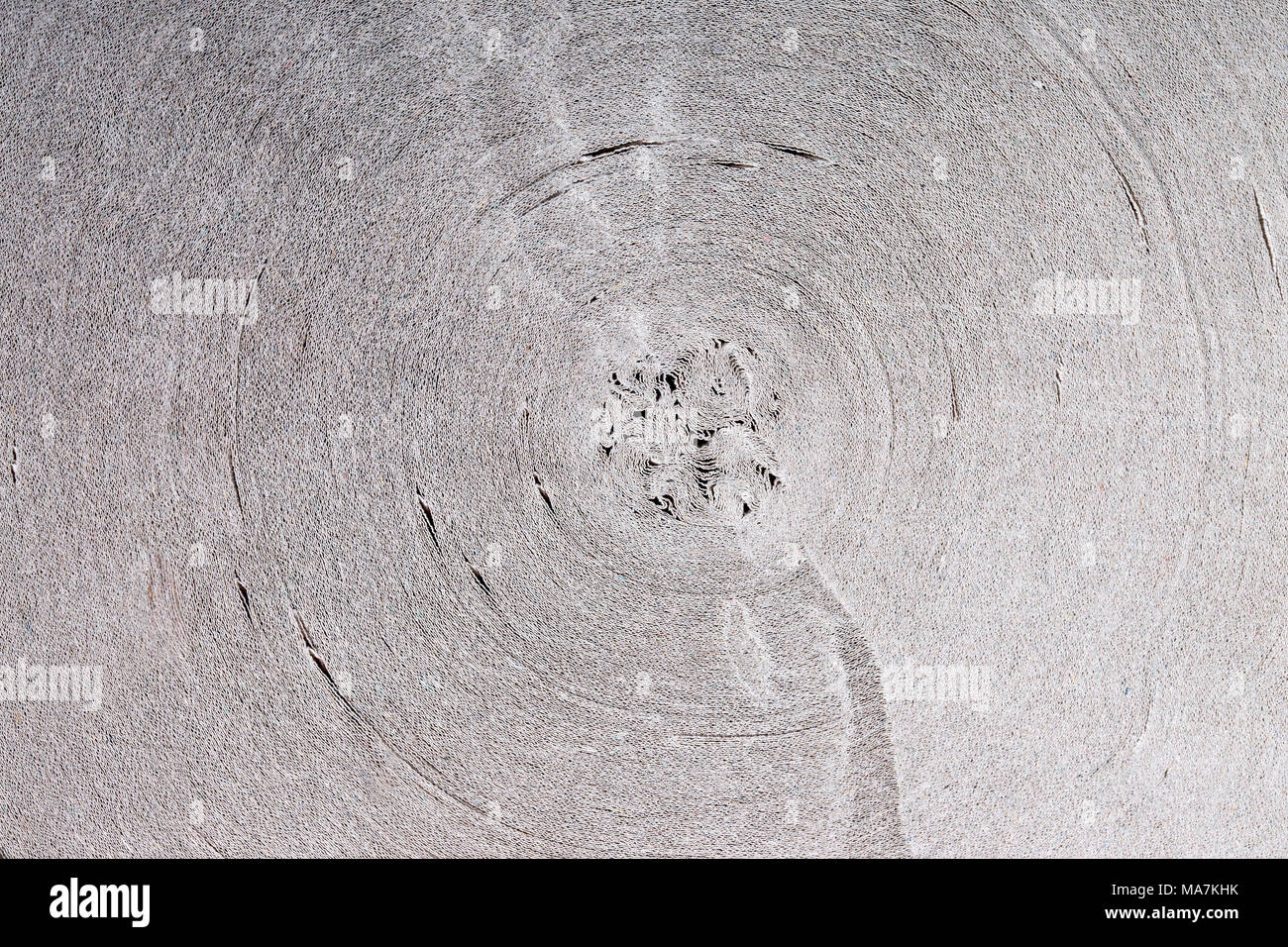 Texture of a roll of singlelayer toilet paper Stock Photo Alamy