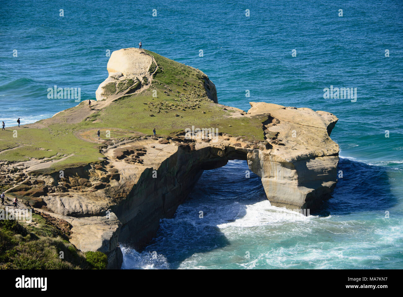 Beautiful view of Tunnel Beach, Dunedin, New Zealand Stock Photo Alamy