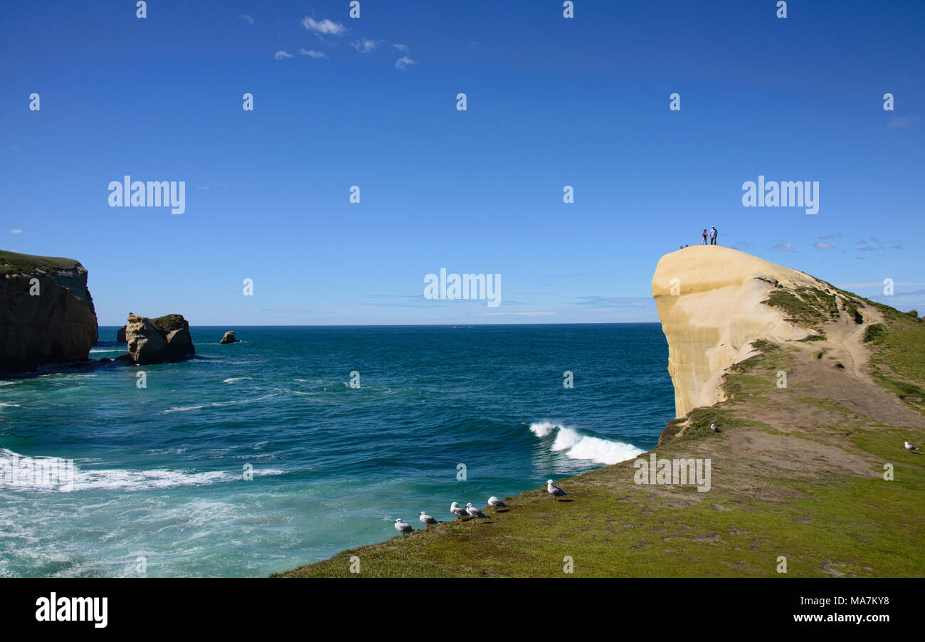 Beautiful view of Tunnel Beach, Dunedin, New Zealand Stock Photo Alamy