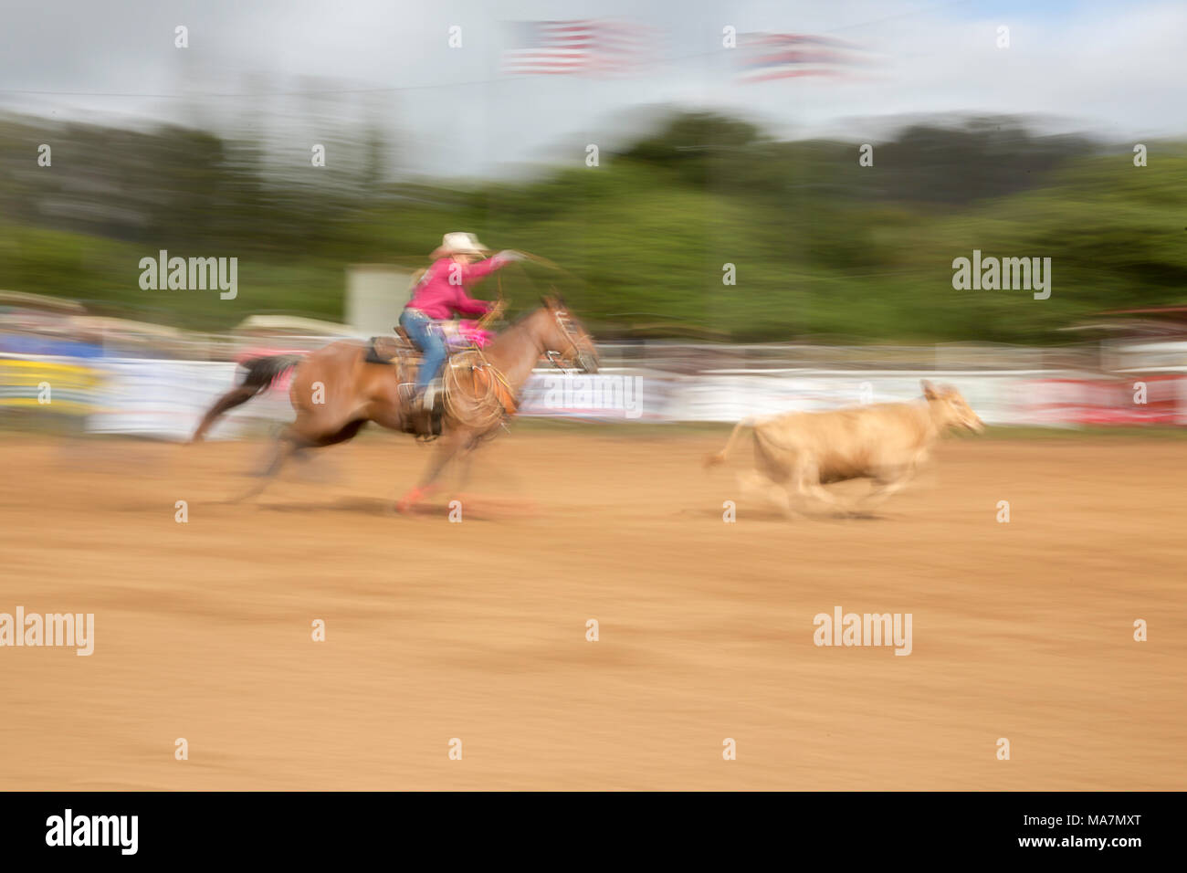 Makawao rodeo hires stock photography and images Alamy