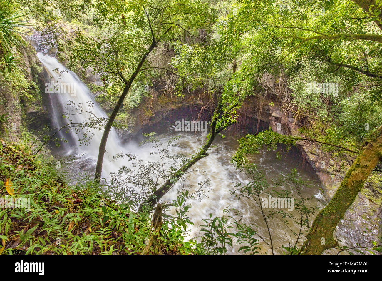 A two mile hike from the main road through a bamboo forest takes you to
