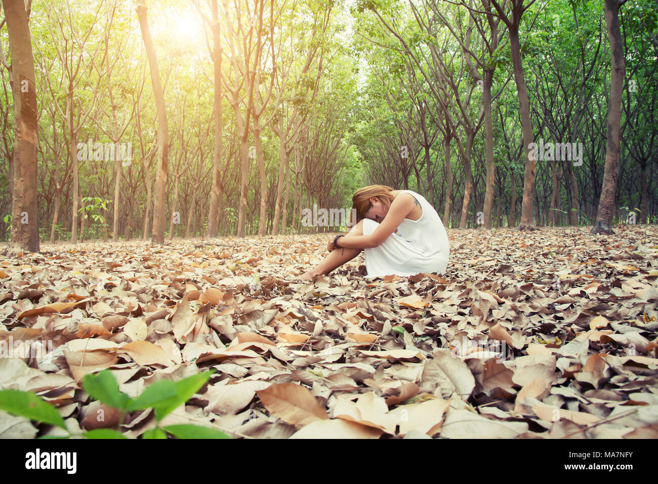 Young asian woman sadly sitting on dry leaf in the forest alone Stock ...