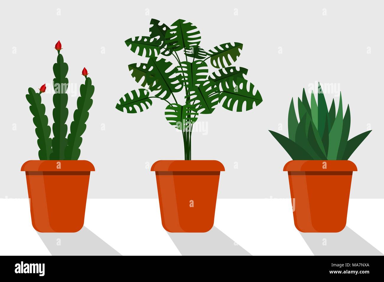 Flat style room plants in pots, vector illustration. Disocactus, monstera, sansevieriya Stock Vector