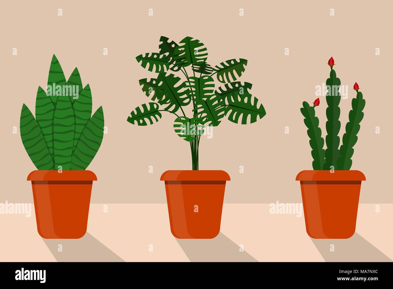 Flat style room plants in pots, vector illustration. Sansevieriya, disocactus, monstera Stock Vector
