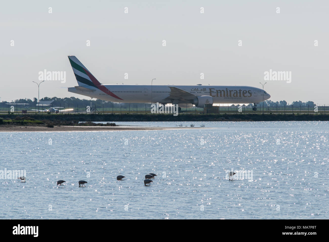 plane in the Larnaca International Airport and salt lake with some flamingos in winter Stock Photo