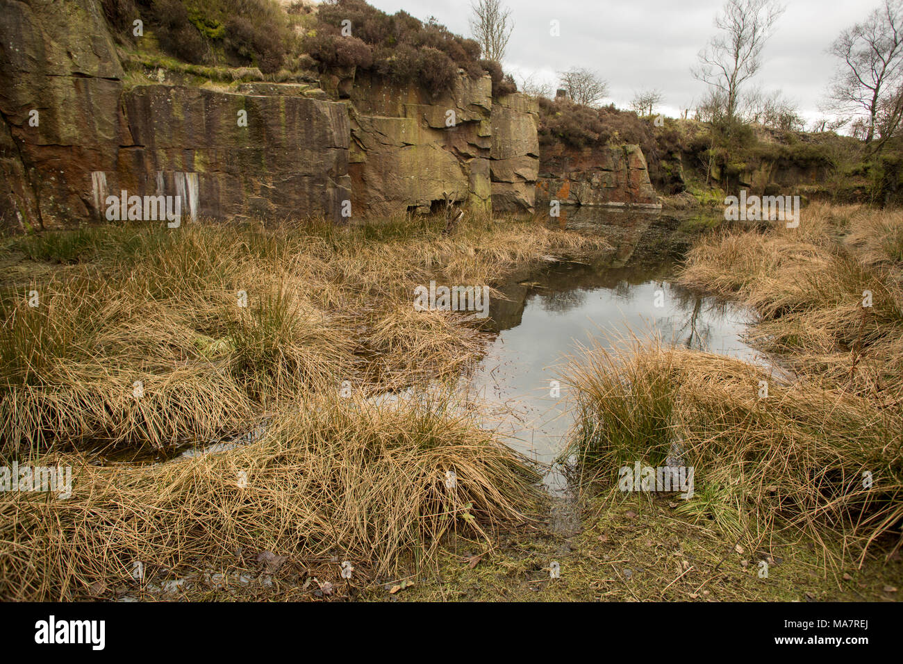 The 'Lake' area of Brownstones quarry with tussocks of tawny winter grass and a leaden sky. Stock Photo