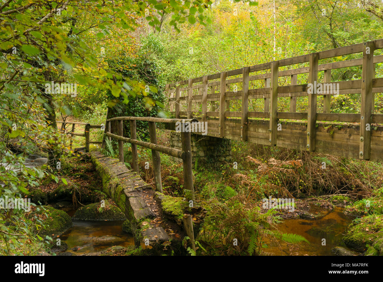 Old Clam Bridge over River Bovey in Houndtor Wood during Autumn in Dartmoor National park, Devon, England. Stock Photo