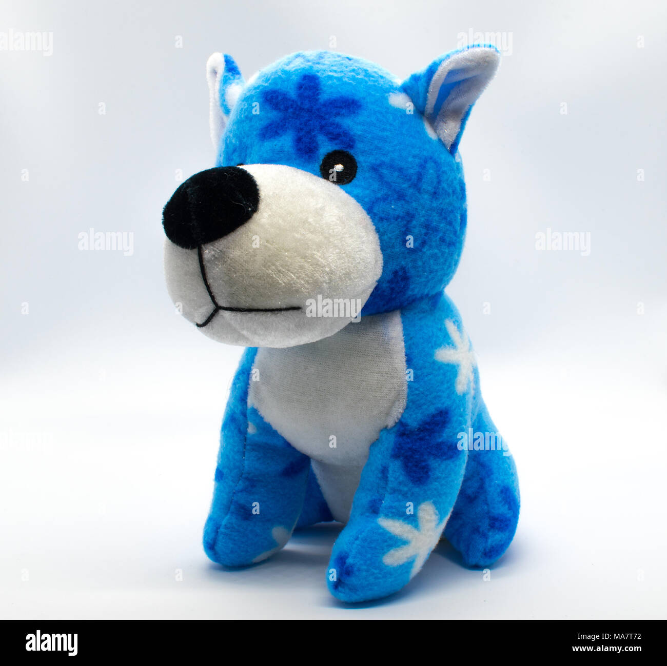 Cute blue cuddly dog with flower pattern Stock Photo