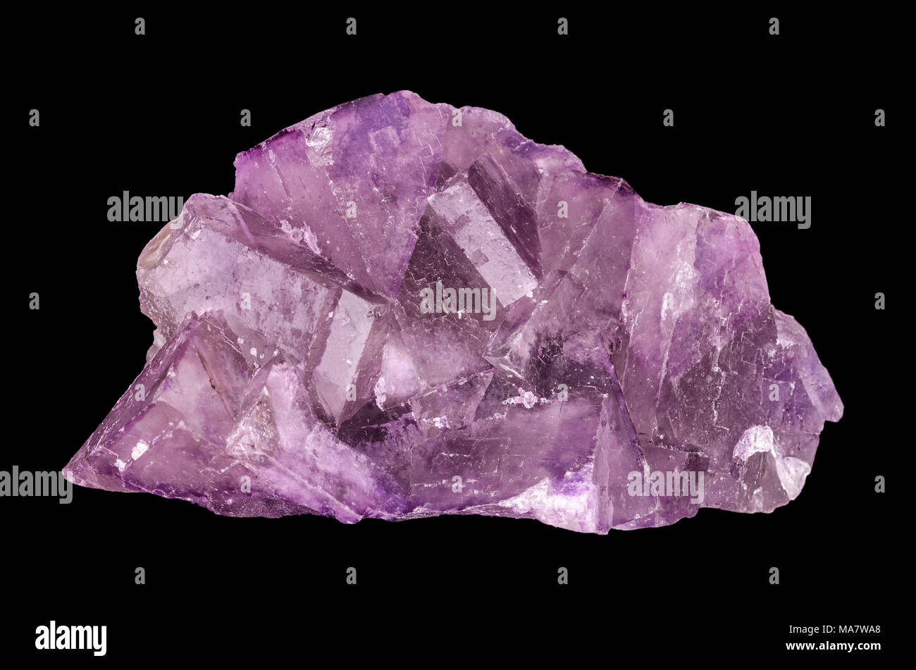 Fluorite crystal cluster. Fluorspar, a mineral form of calcium fluoride, CaF2. Belongs to halite minerals. Colorful purple cubic crystals. Stock Photo