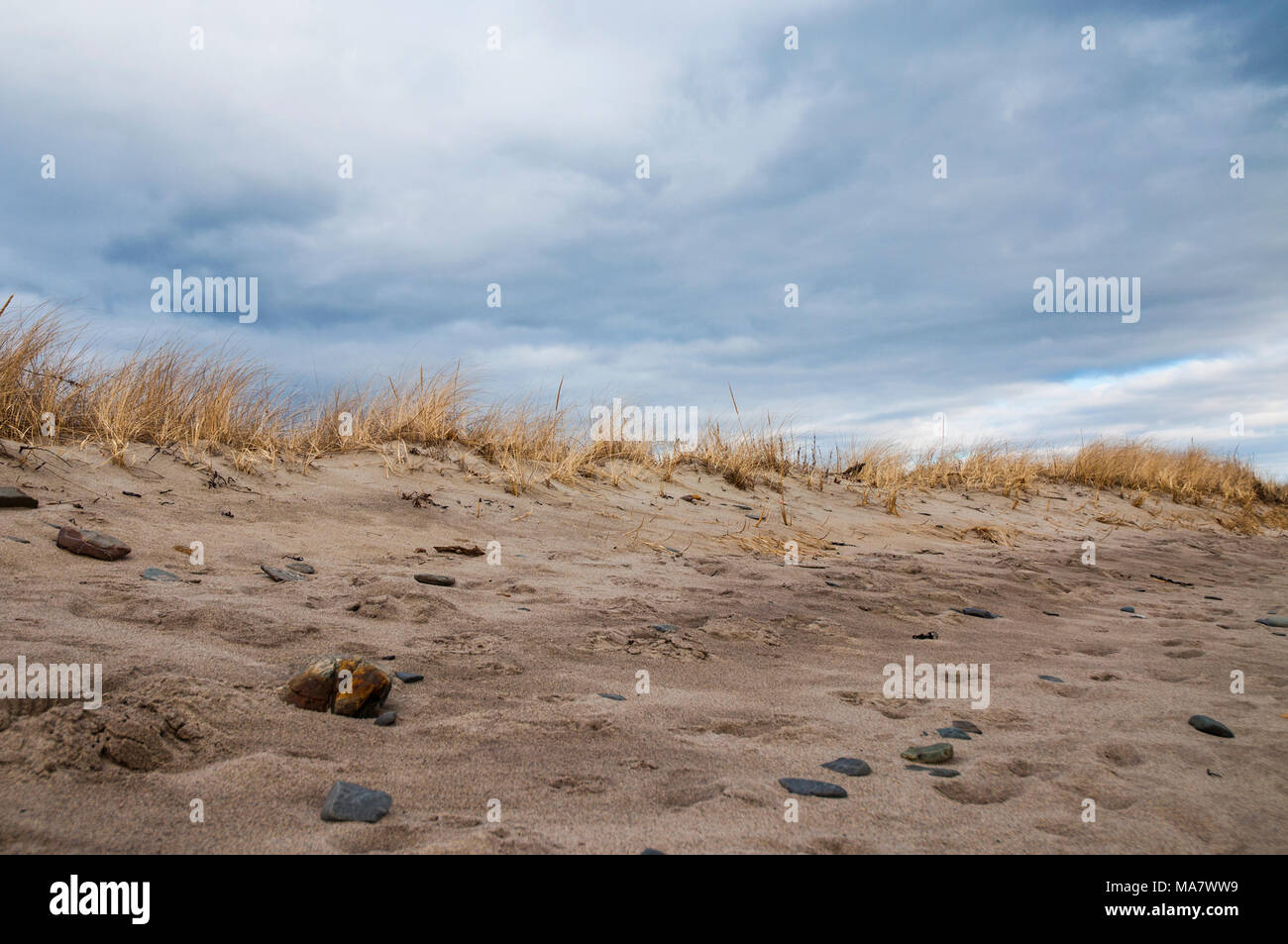 View of the sand dunes on the beach Stock Photo - Alamy