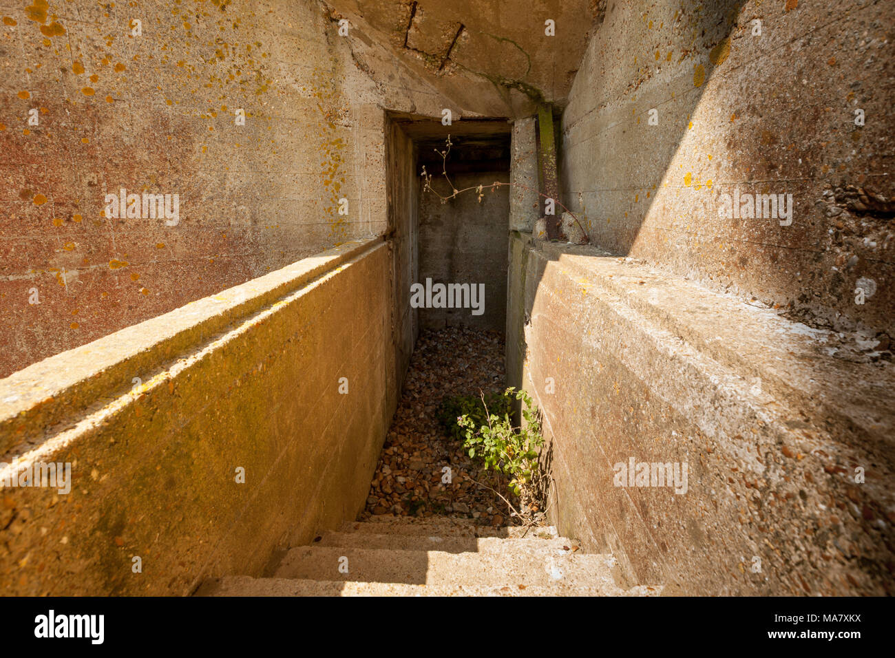 Denge Sounds Mirrors on RSPB land near Lydd, Kent, UK. Pre-radar listening ears. Stock Photo