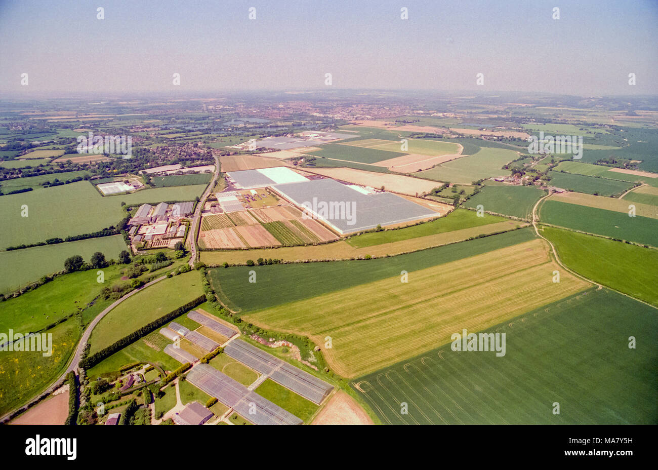 Aerial view of the largest greenhouse in Europe, at Runcton Nursery, near Chichester Stock Photo
