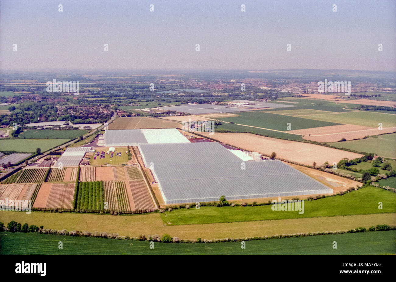 Aerial view of the largest greenhouse in Europe, at Runcton Nursery, near Chichester Stock Photo