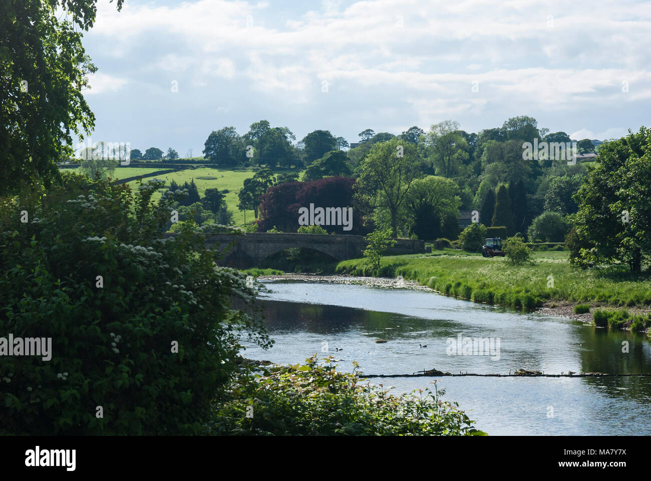 River ribble at clitheroe hires stock photography and images Alamy