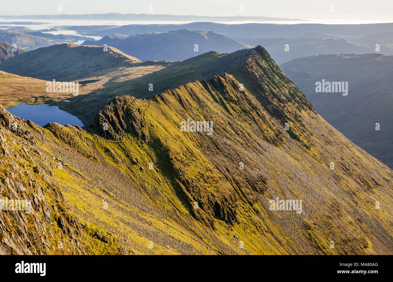 Striding Edge, Lake District Stock Photo Alamy