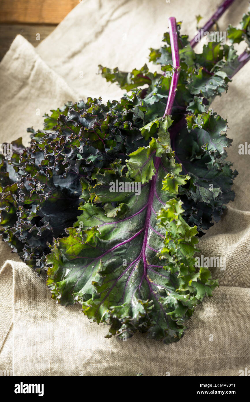 Organic Healthy Red Kale Ready to Eat Stock Photo Alamy