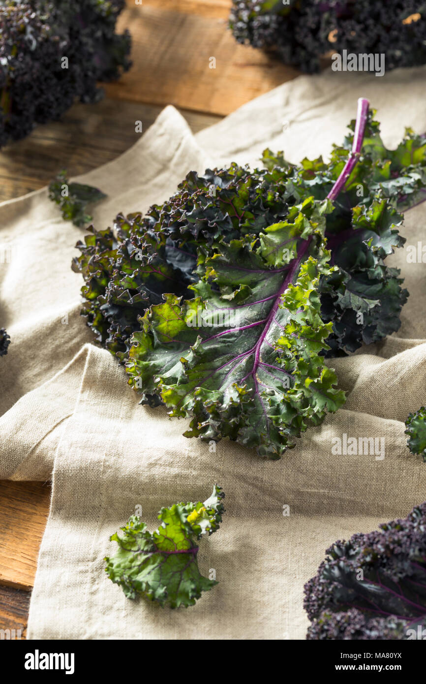 Organic Healthy Red Kale Ready to Eat Stock Photo Alamy